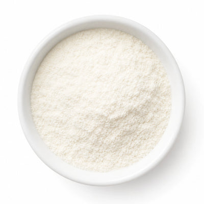 Bacillus coagulans