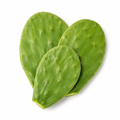 Nopal