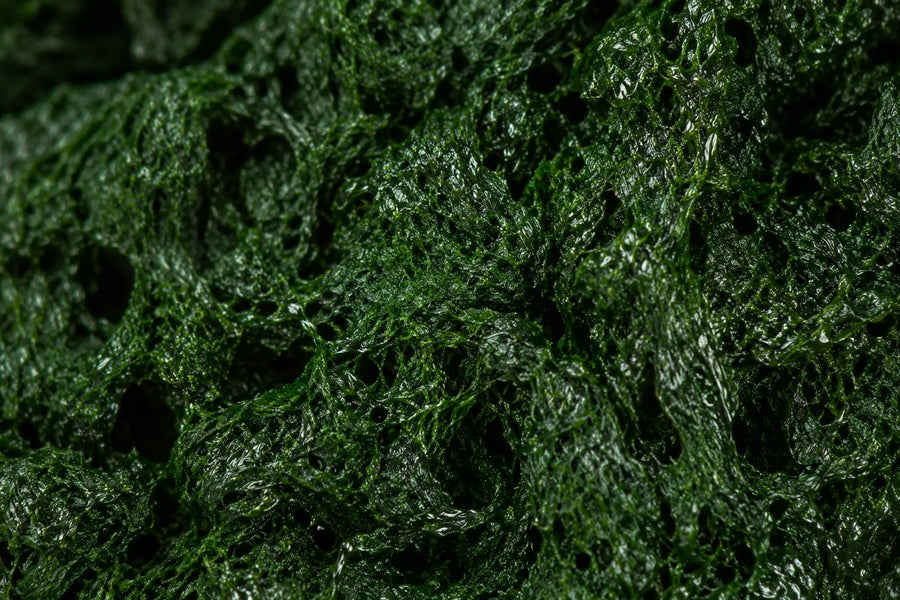 Nutrición vegetal densa en  dosis real.